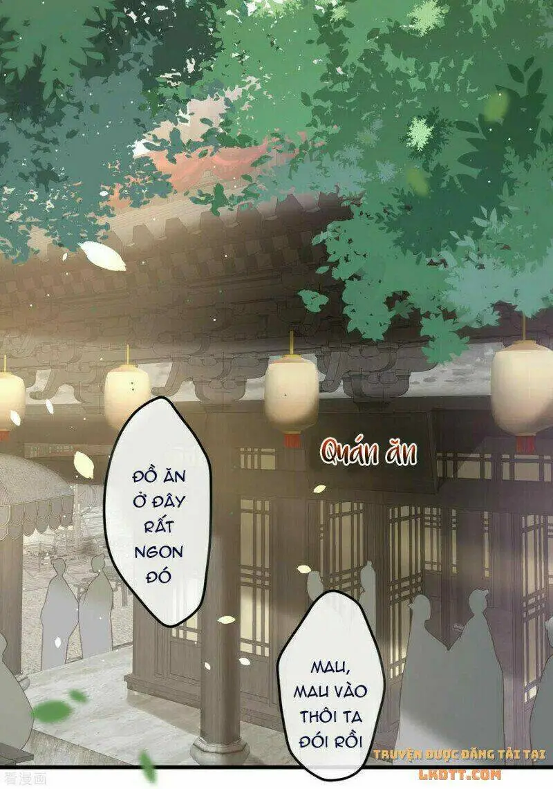 Chapter 51