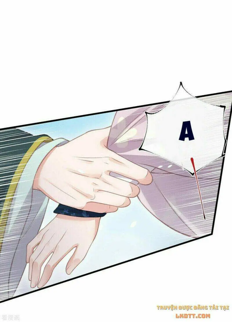 Chapter 51