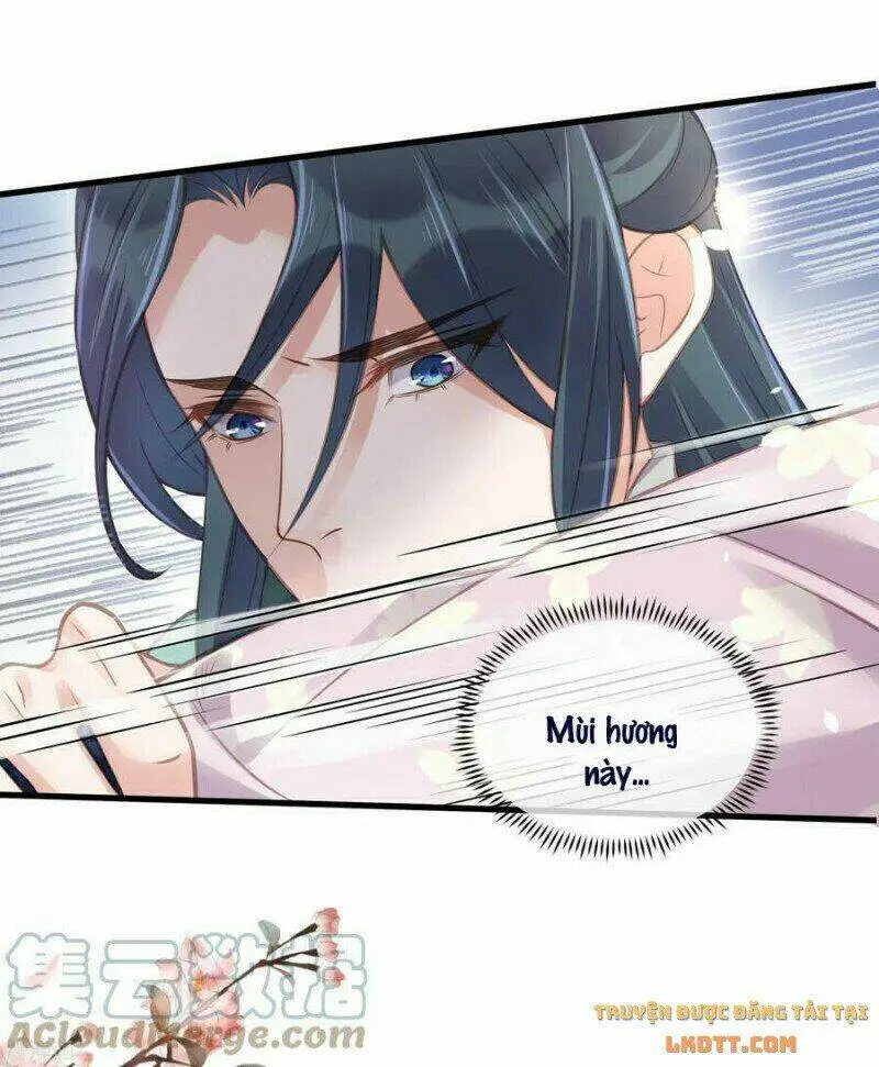 Chapter 51
