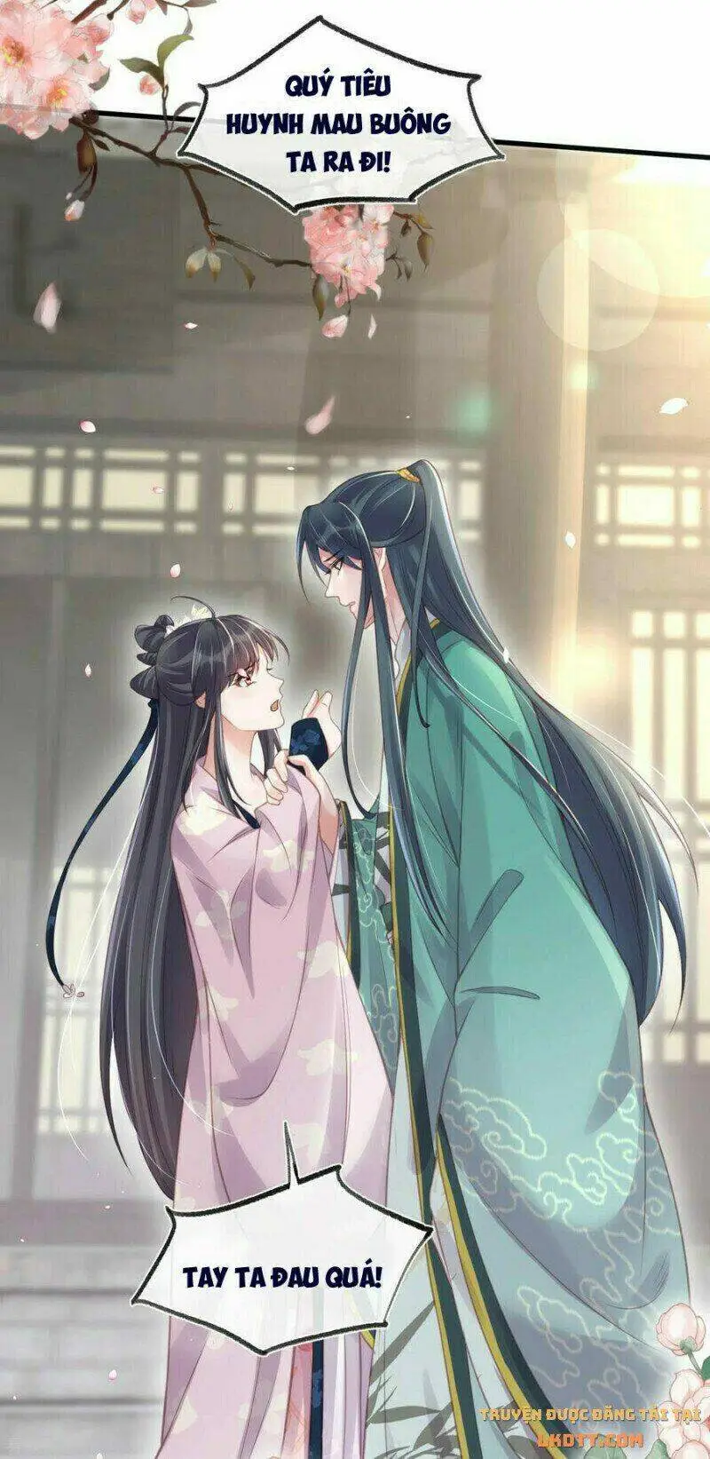 Chapter 51