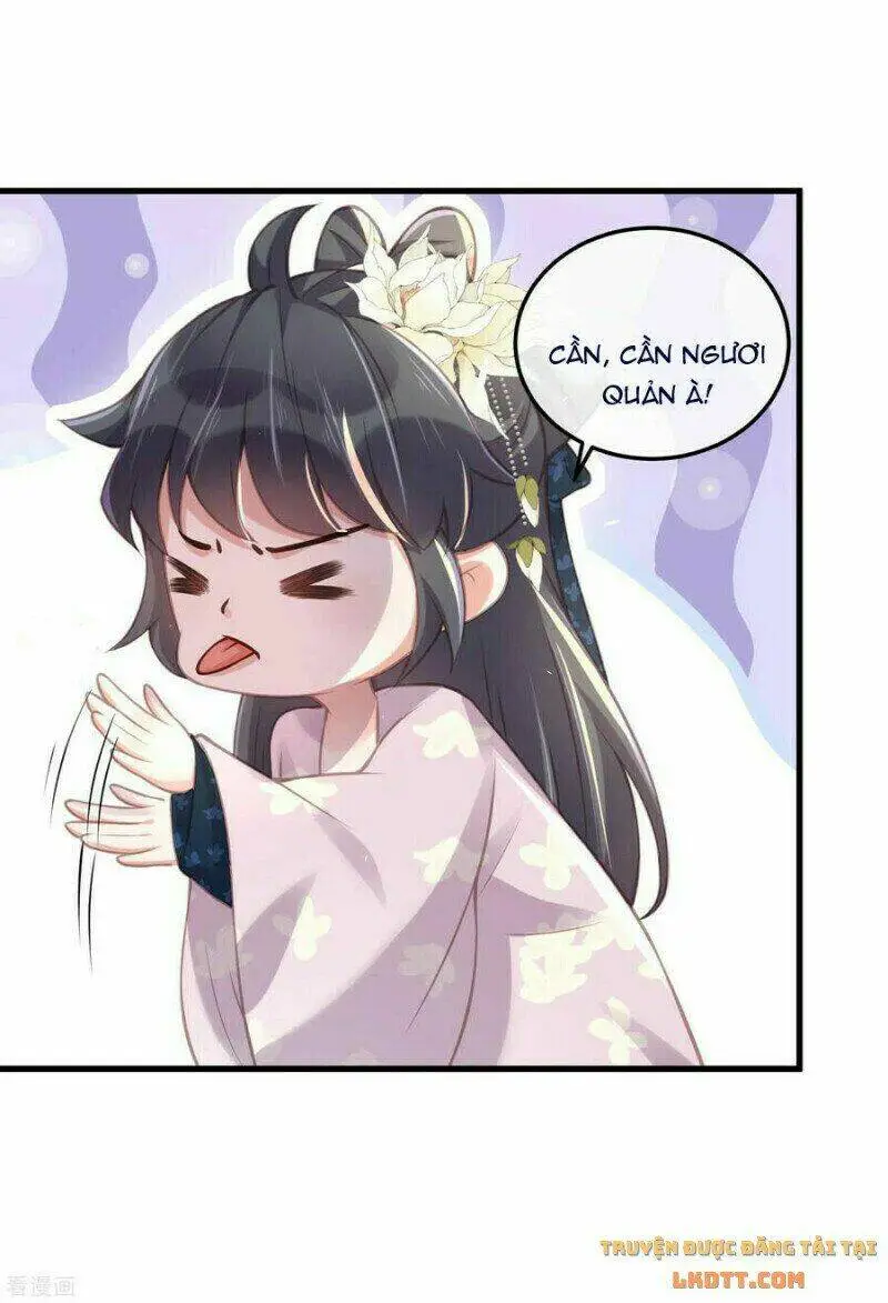 Chapter 51