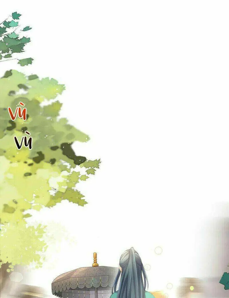 Chapter 51