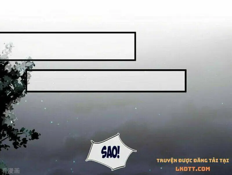 Chapter 50