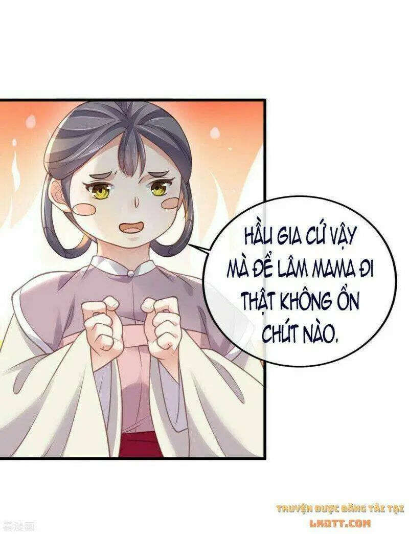 Chapter 50