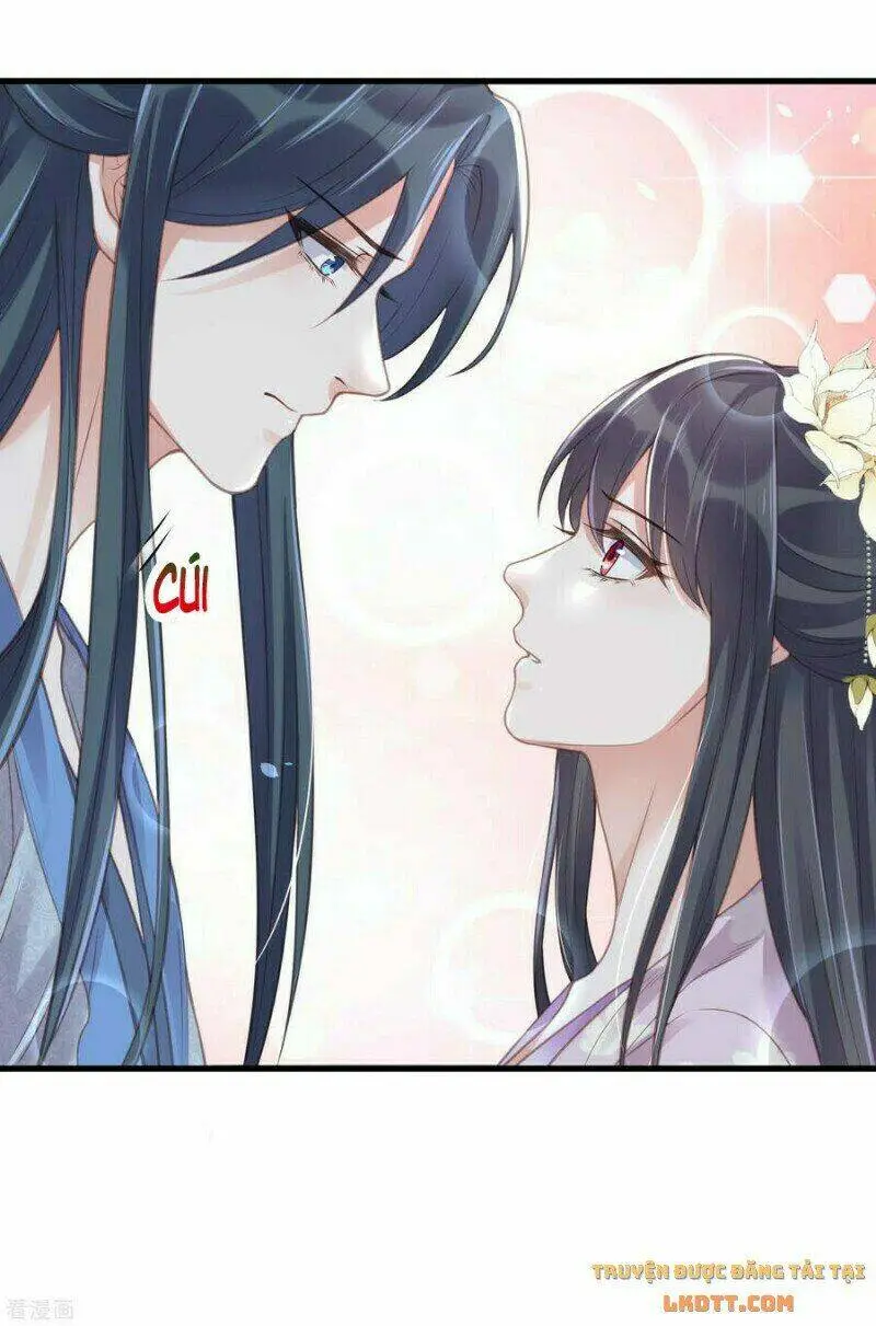 Chapter 50