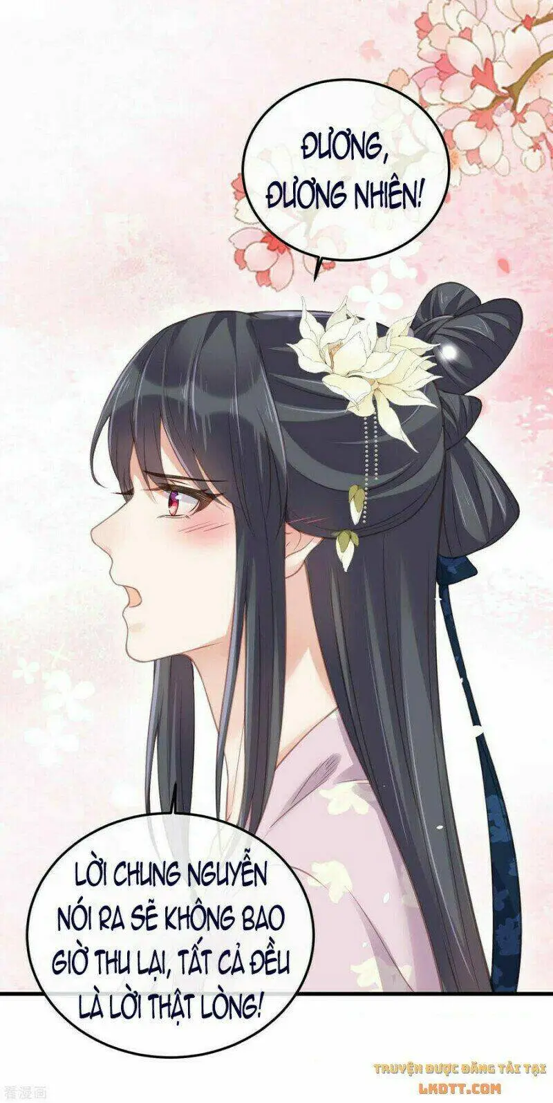 Chapter 50