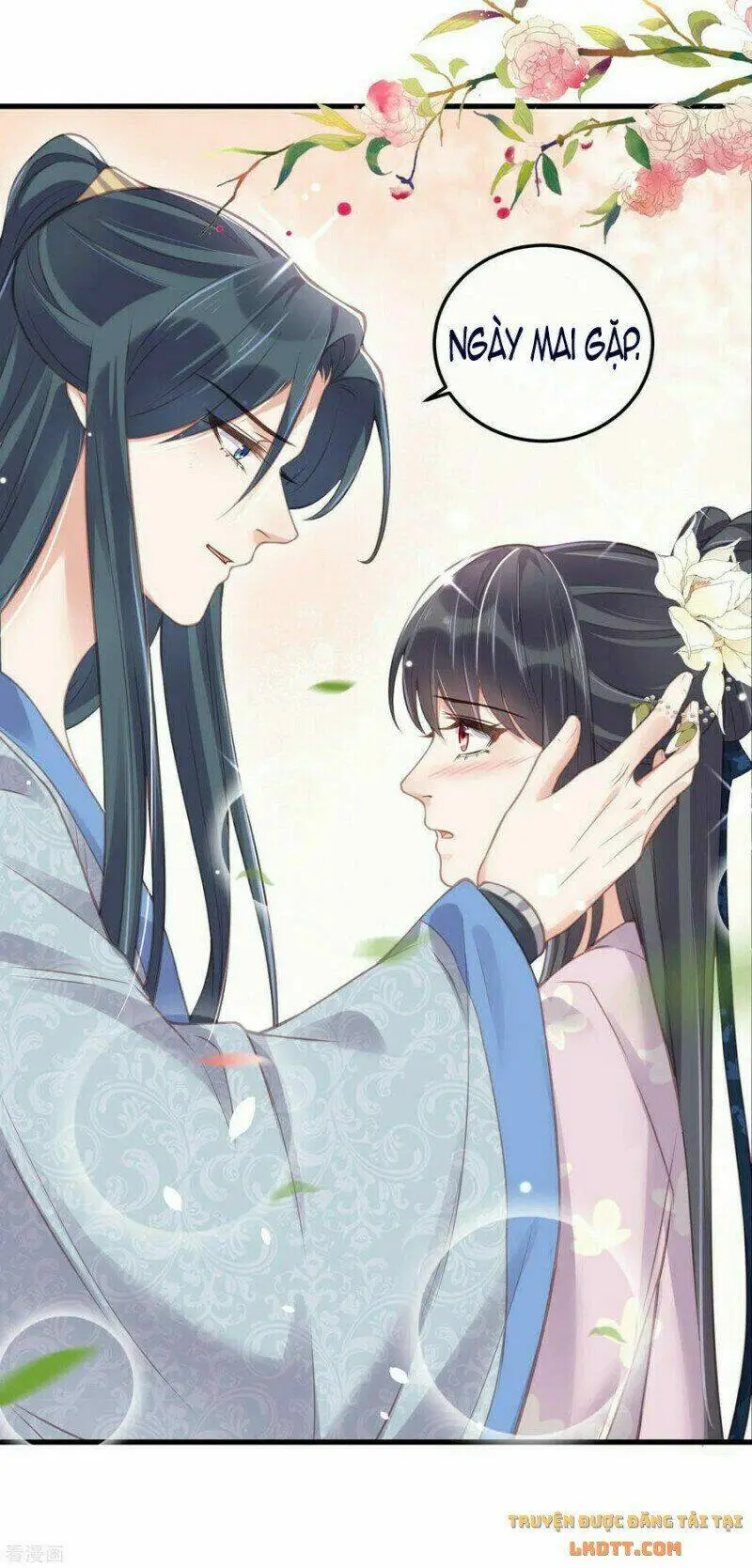 Chapter 50