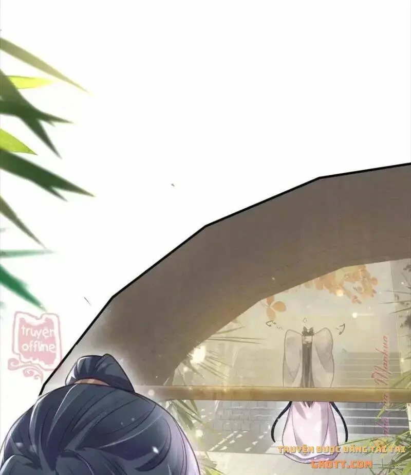 Chapter 49