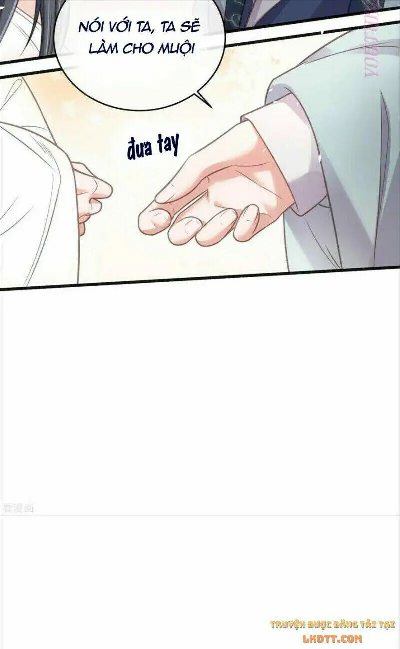 Chapter 48