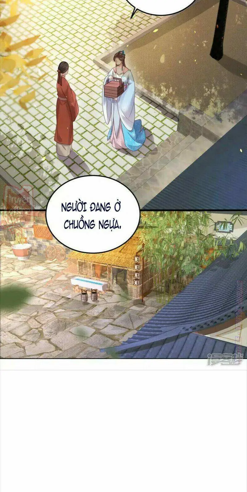 Chapter 41