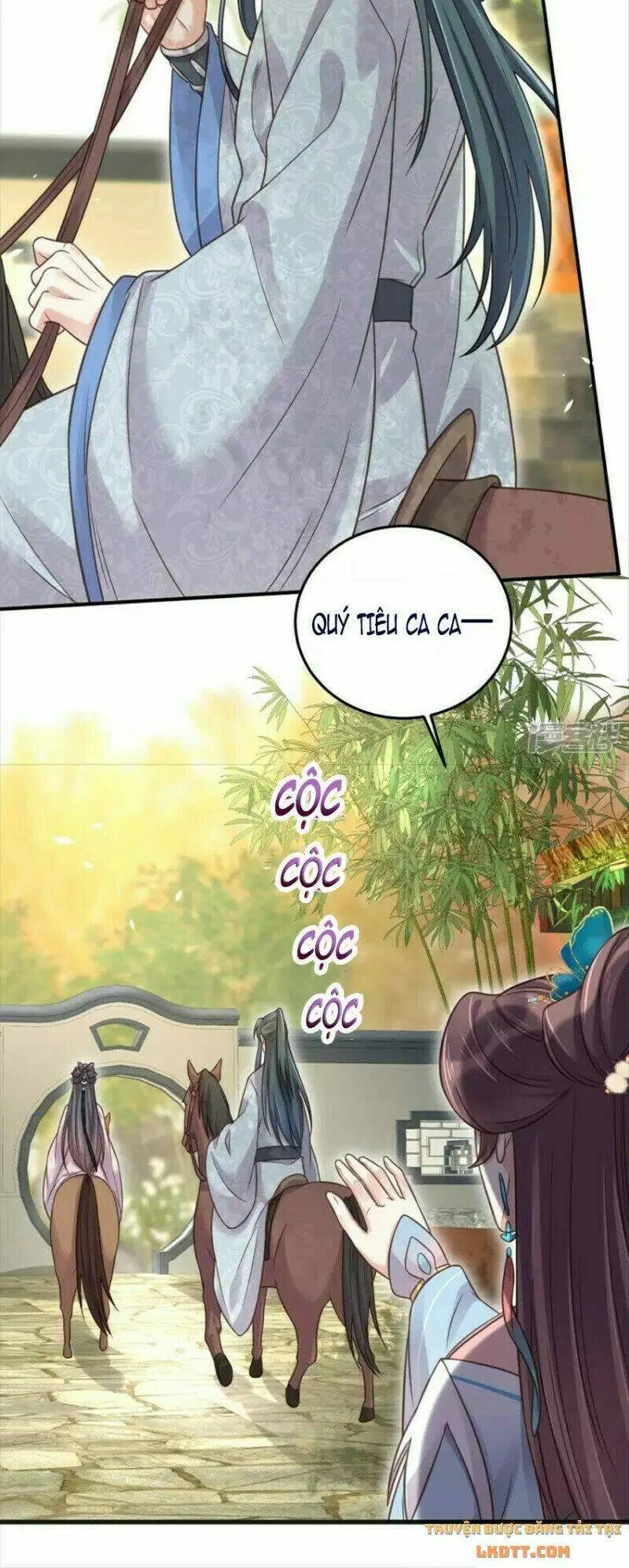 Chapter 41