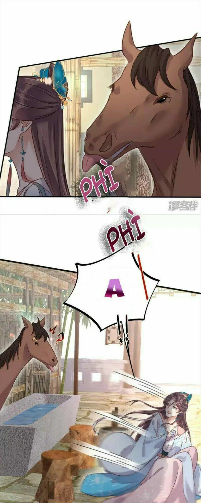 Chapter 41