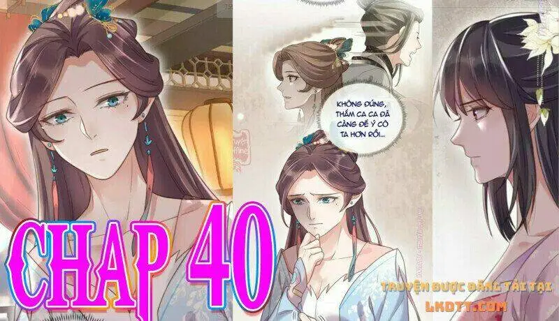 Chapter 40