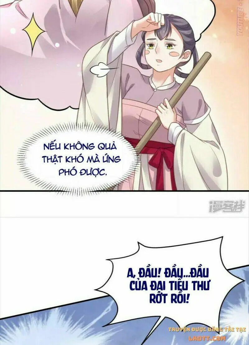 Chapter 39