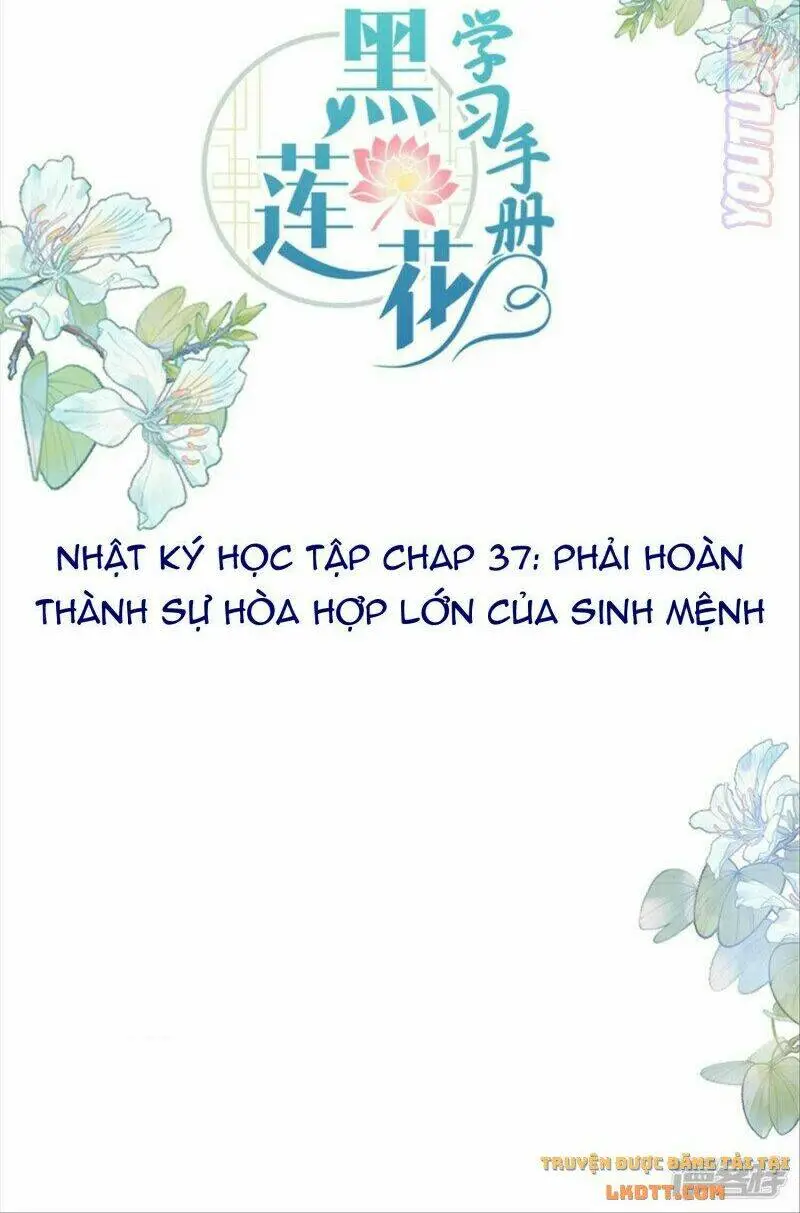Chapter 37