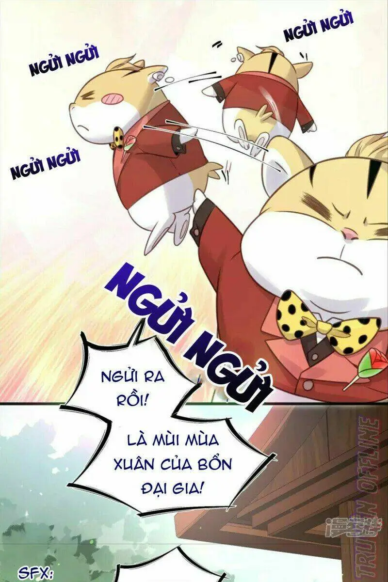 Chapter 37