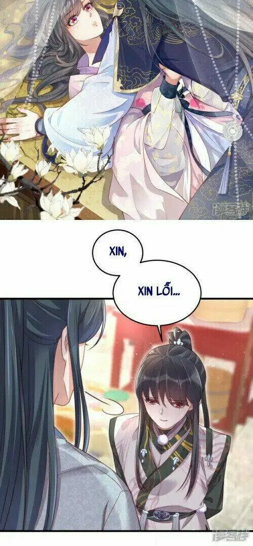 Chapter 31