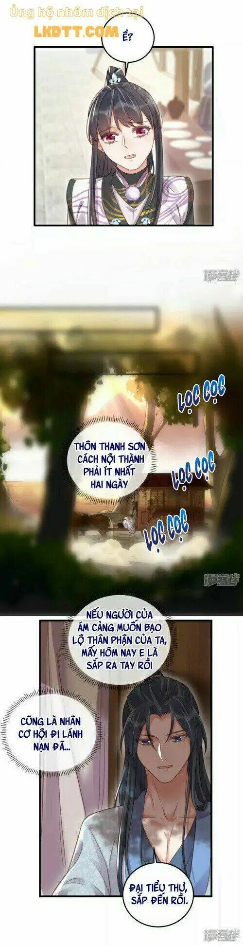 Chapter 31