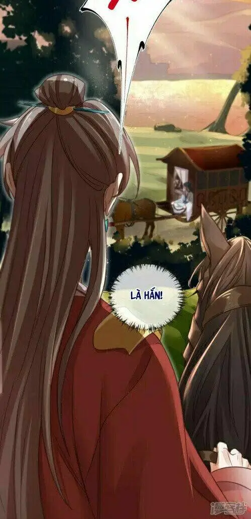 Chapter 31