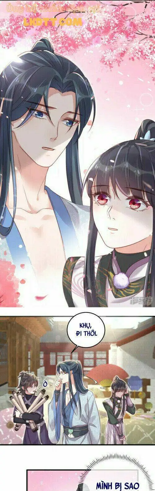 Chapter 31