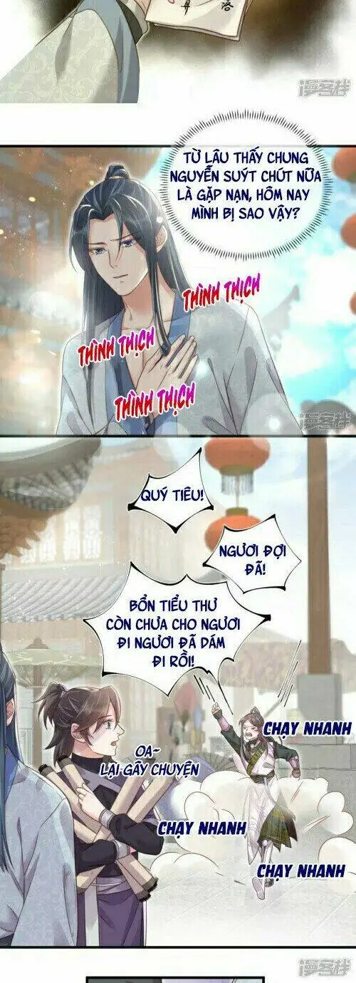 Chapter 31