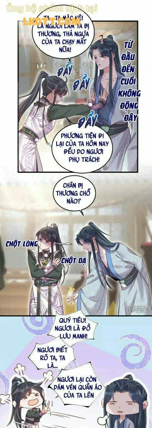 Chapter 31
