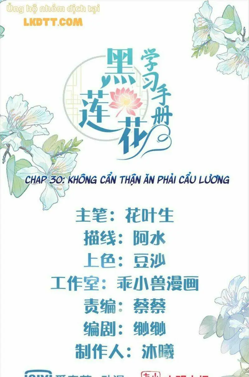 Chapter 30