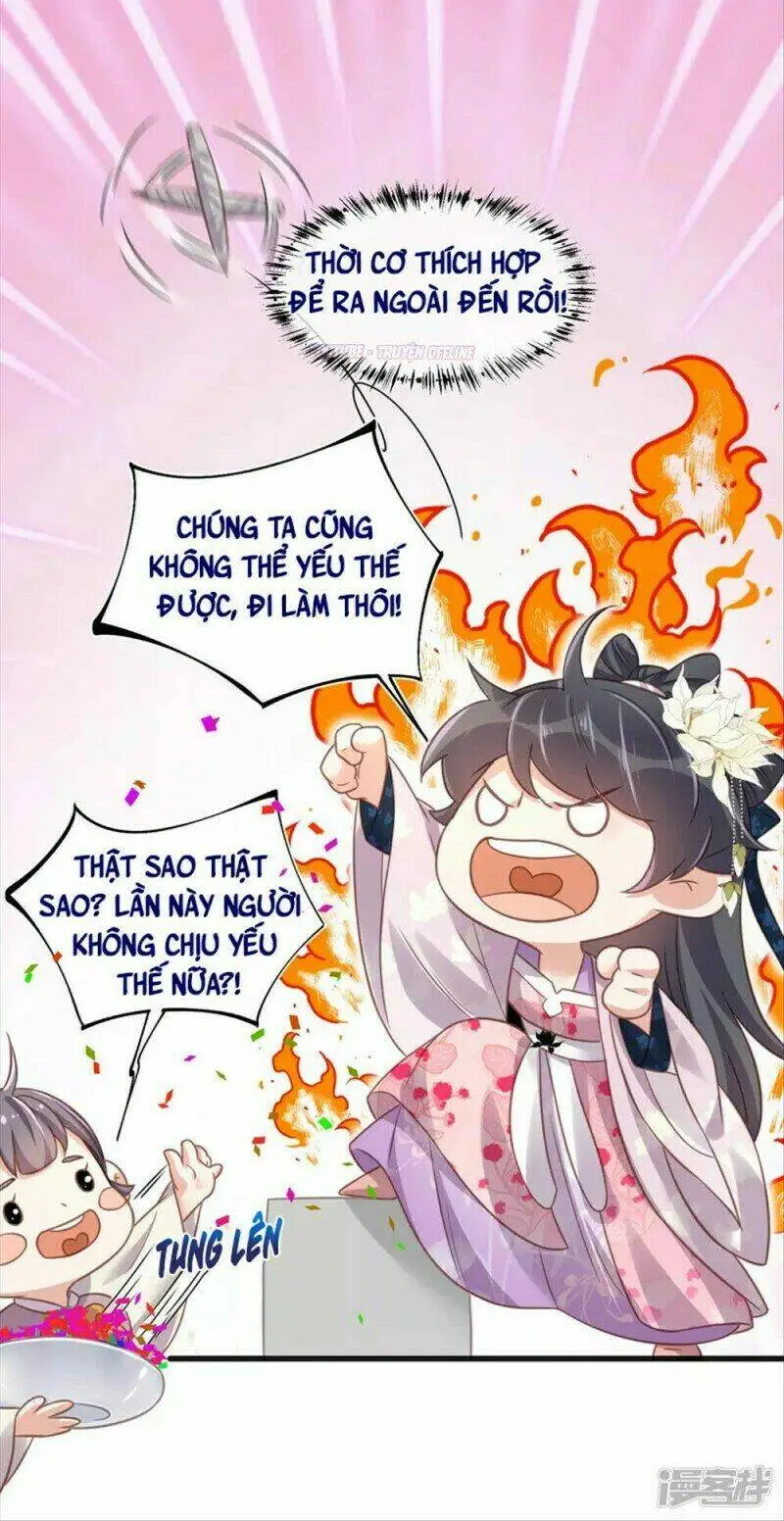 Chapter 30
