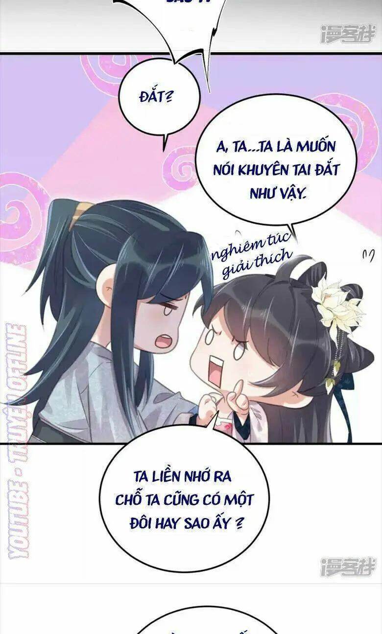 Chapter 29
