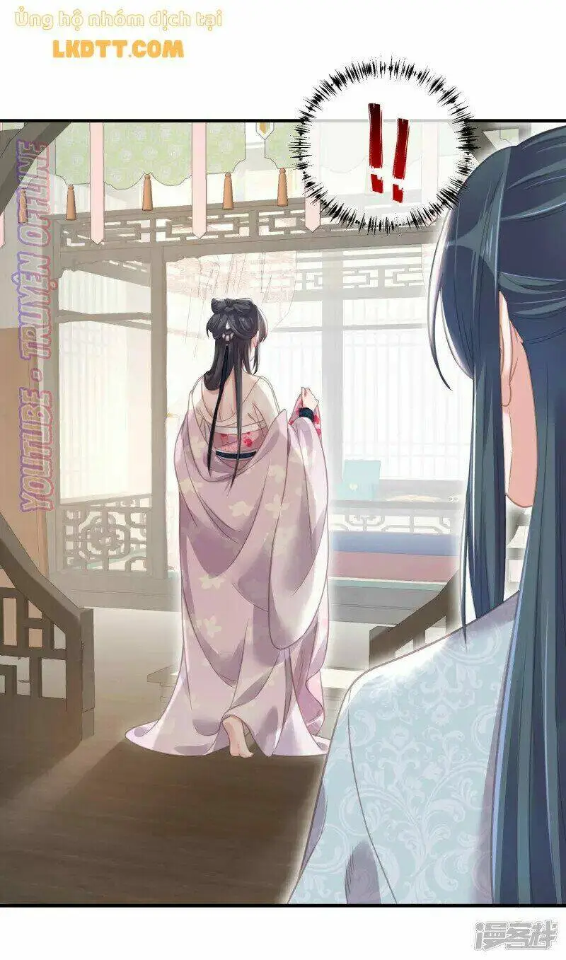 Chapter 28