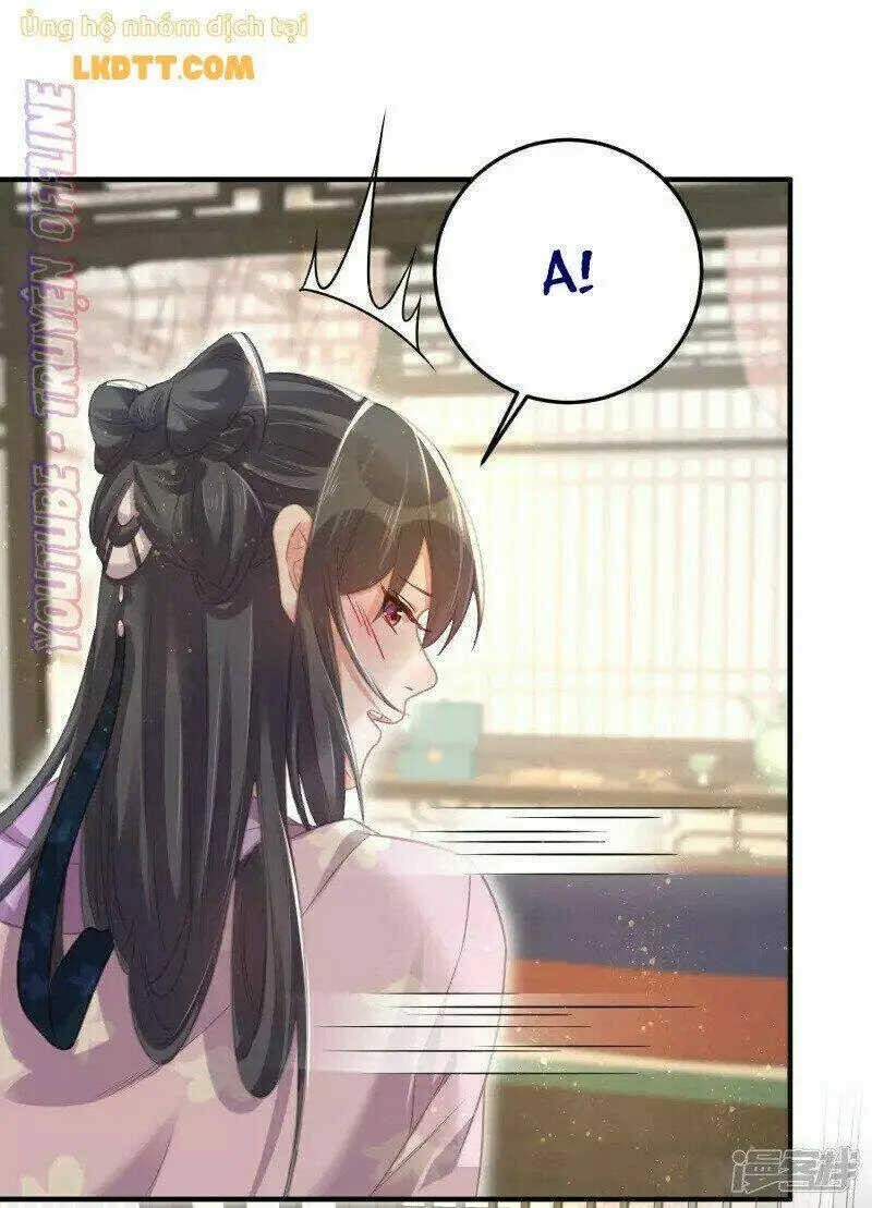 Chapter 28