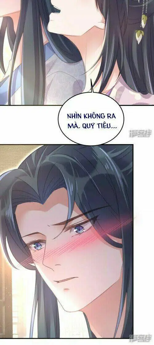Chapter 28