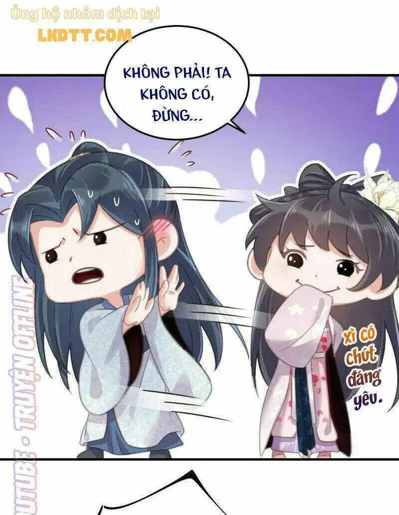 Chapter 28