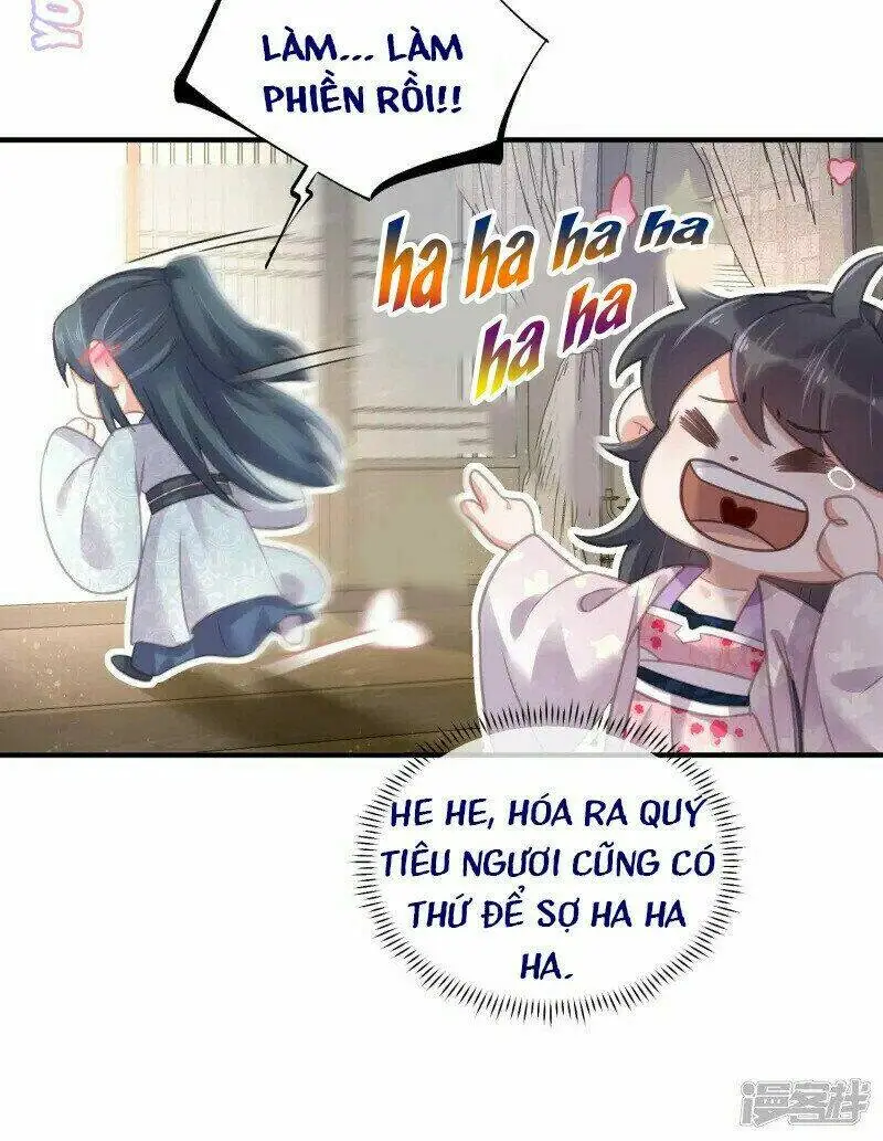 Chapter 28