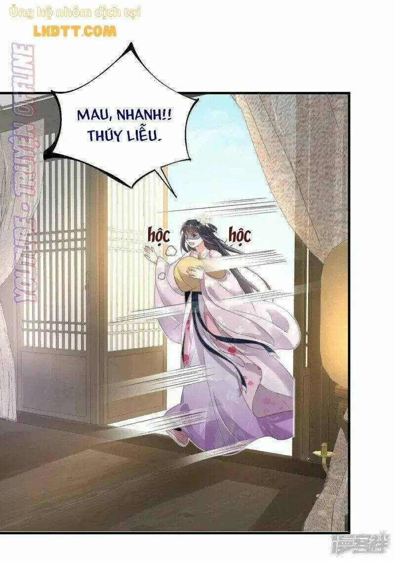 Chapter 28