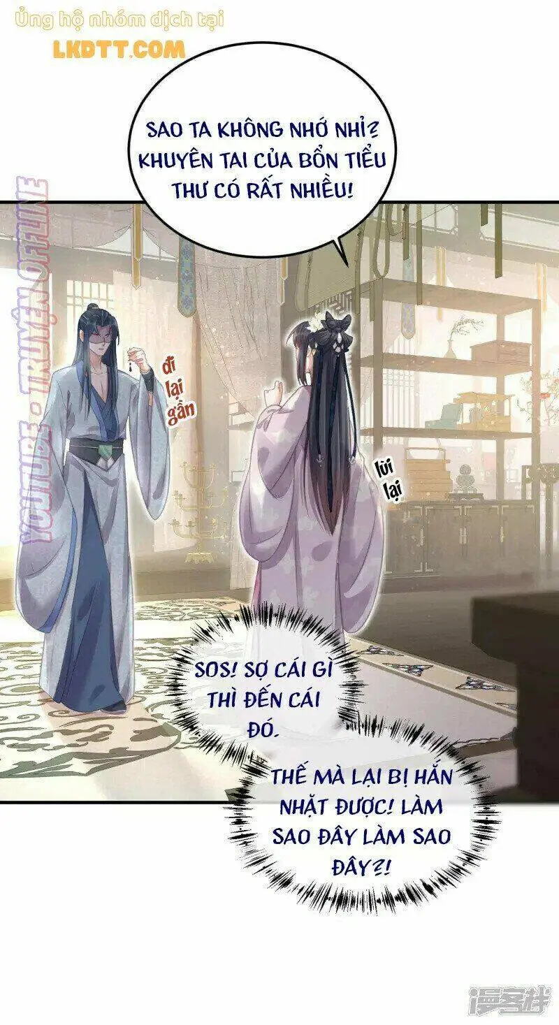Chapter 28