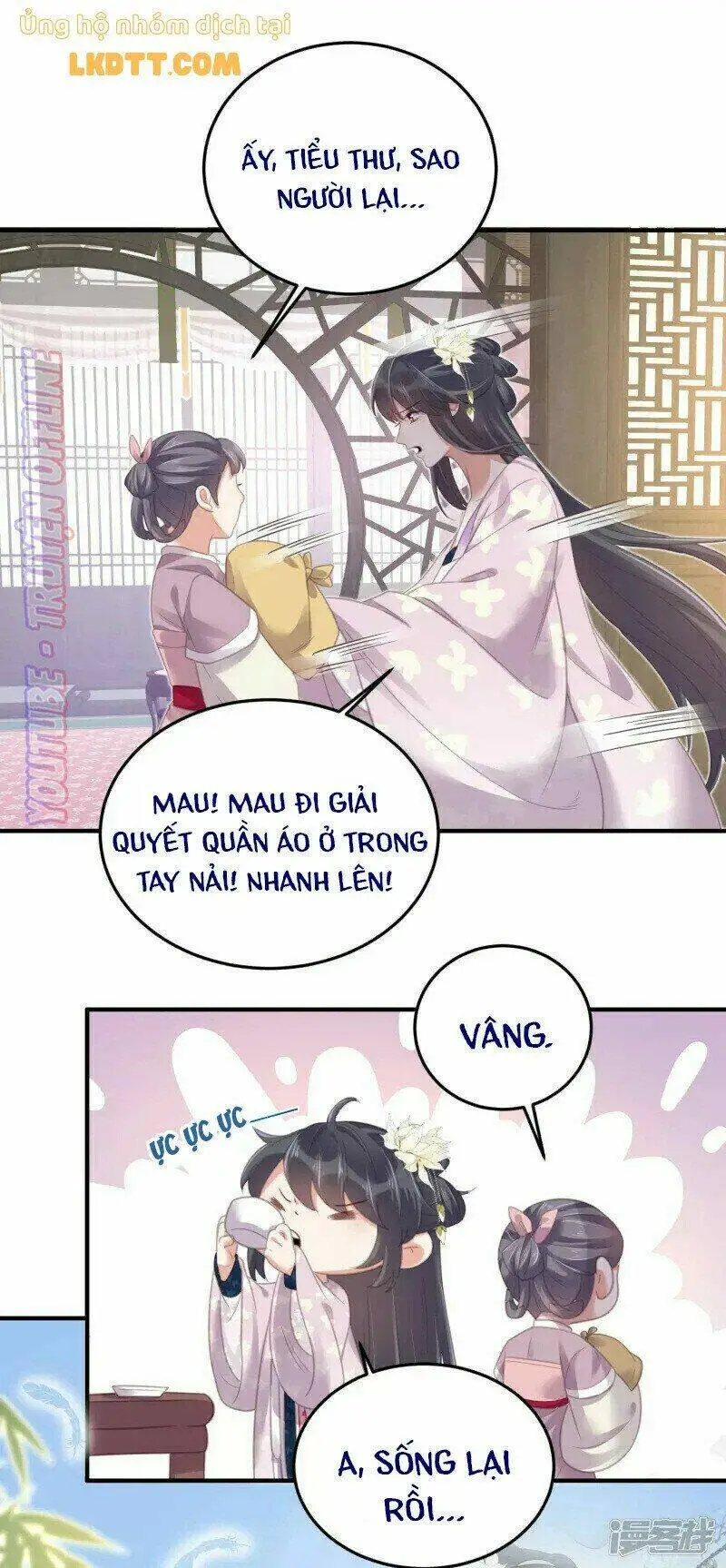 Chapter 28