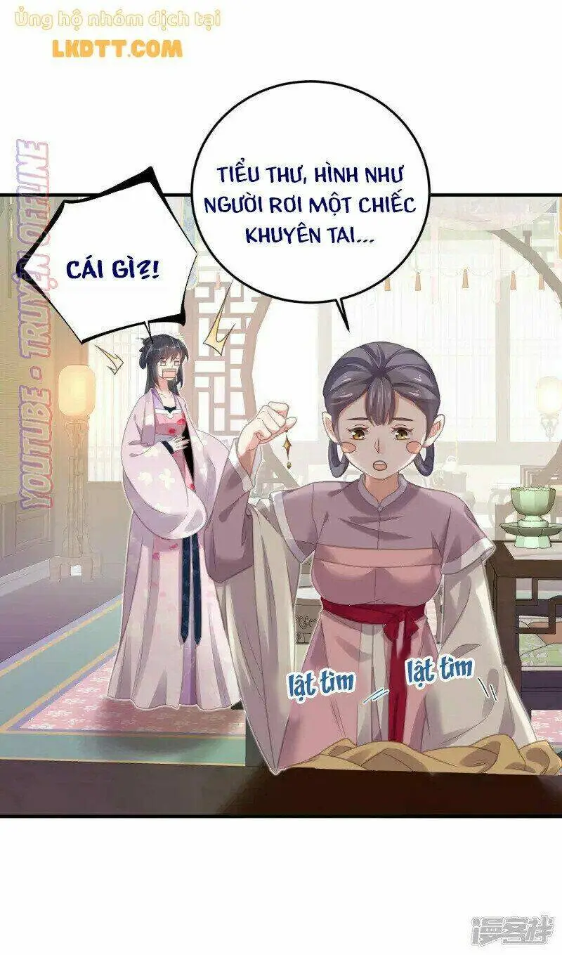 Chapter 28