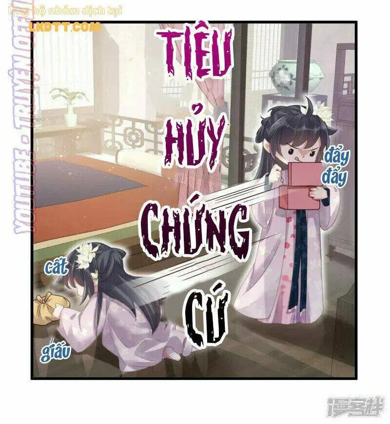 Chapter 28
