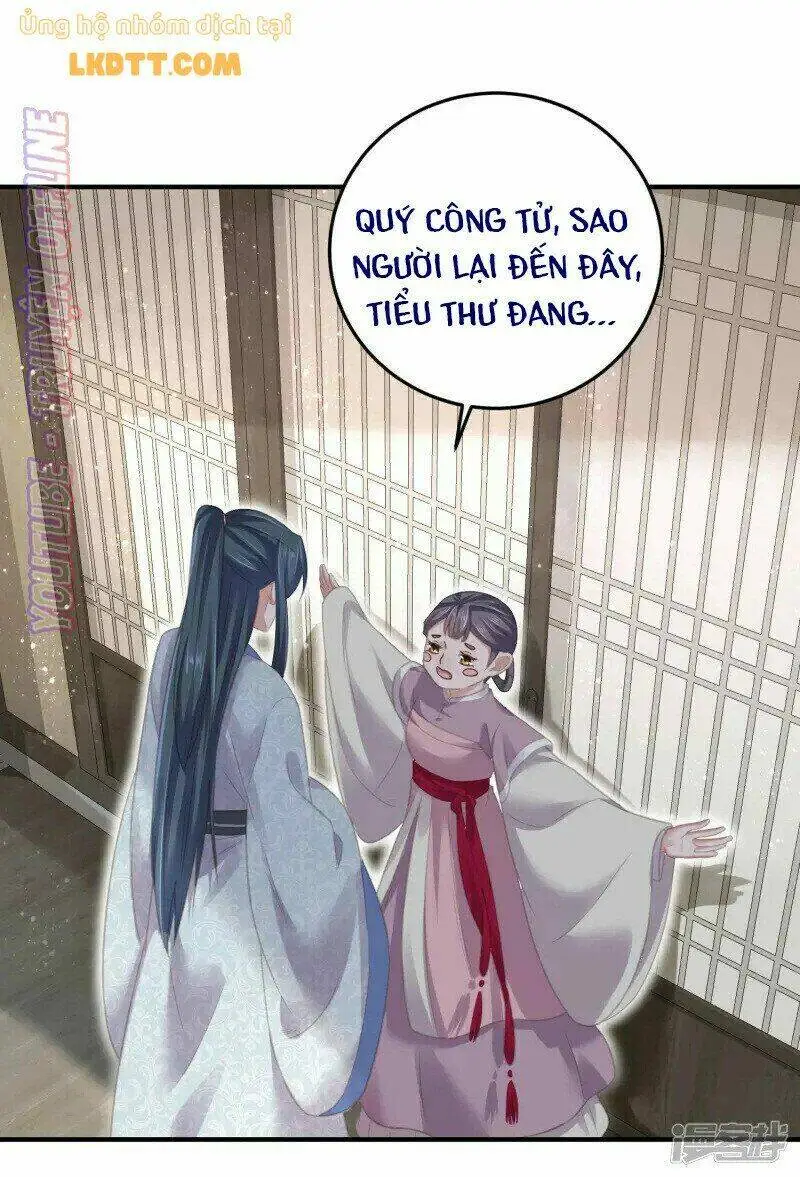 Chapter 28