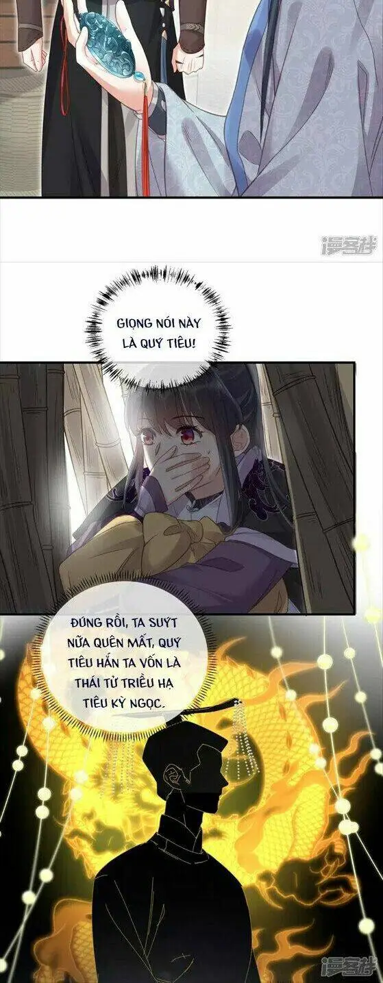Chapter 27