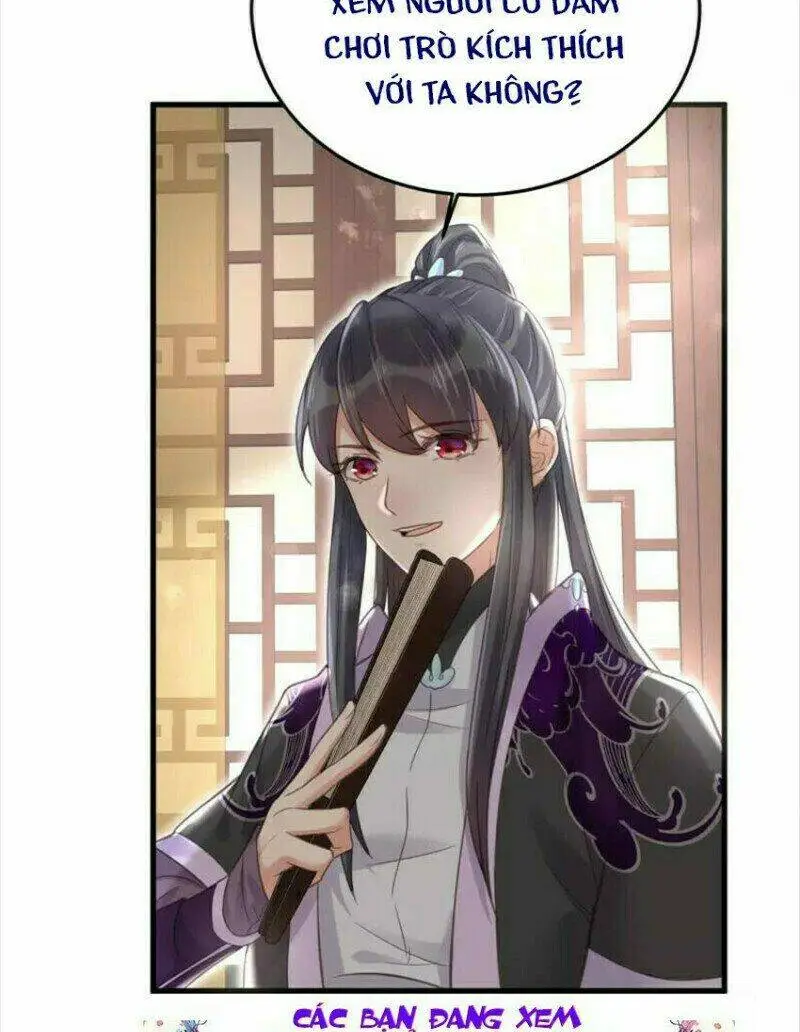 Chapter 26
