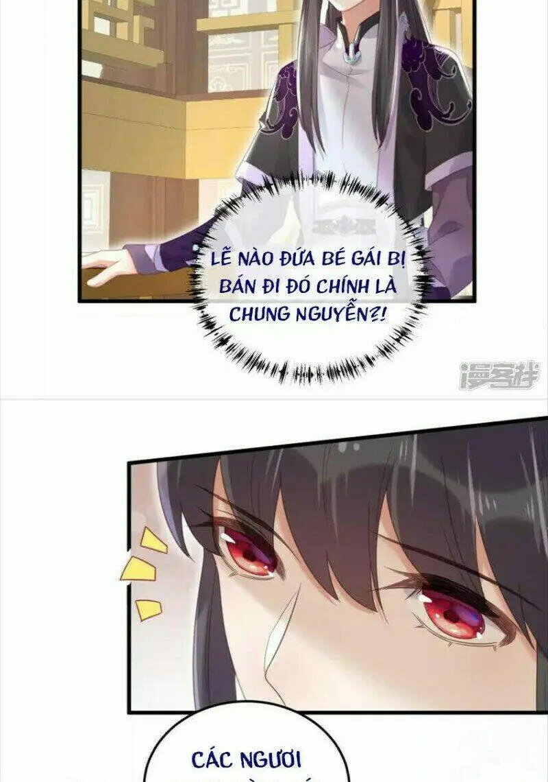 Chapter 26