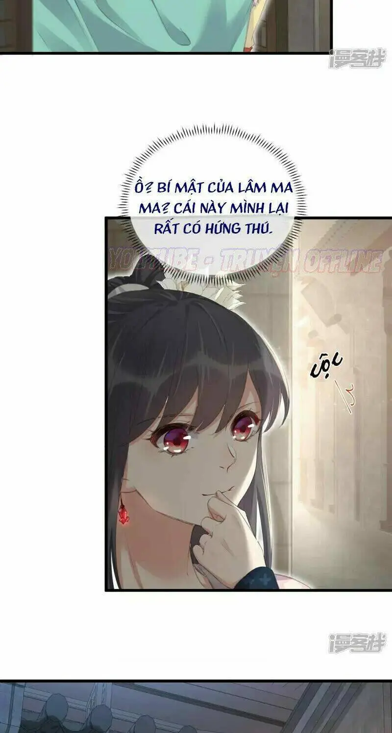 Chapter 25