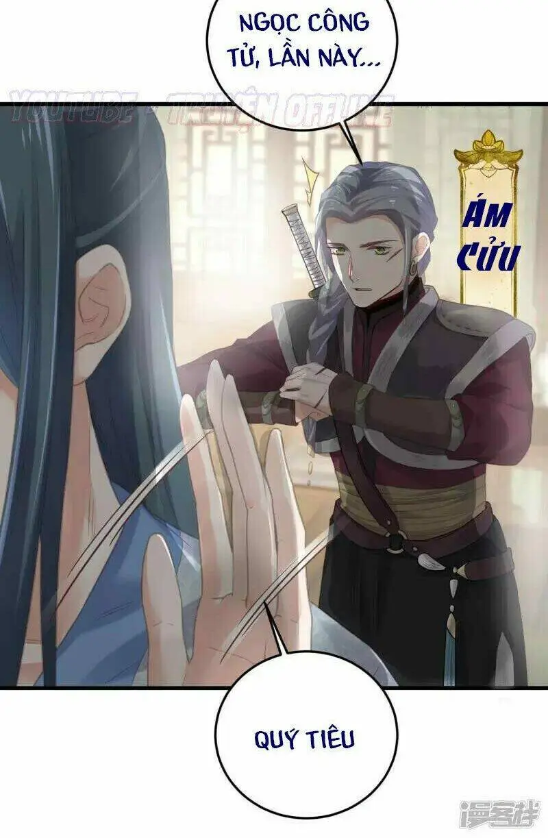 Chapter 25