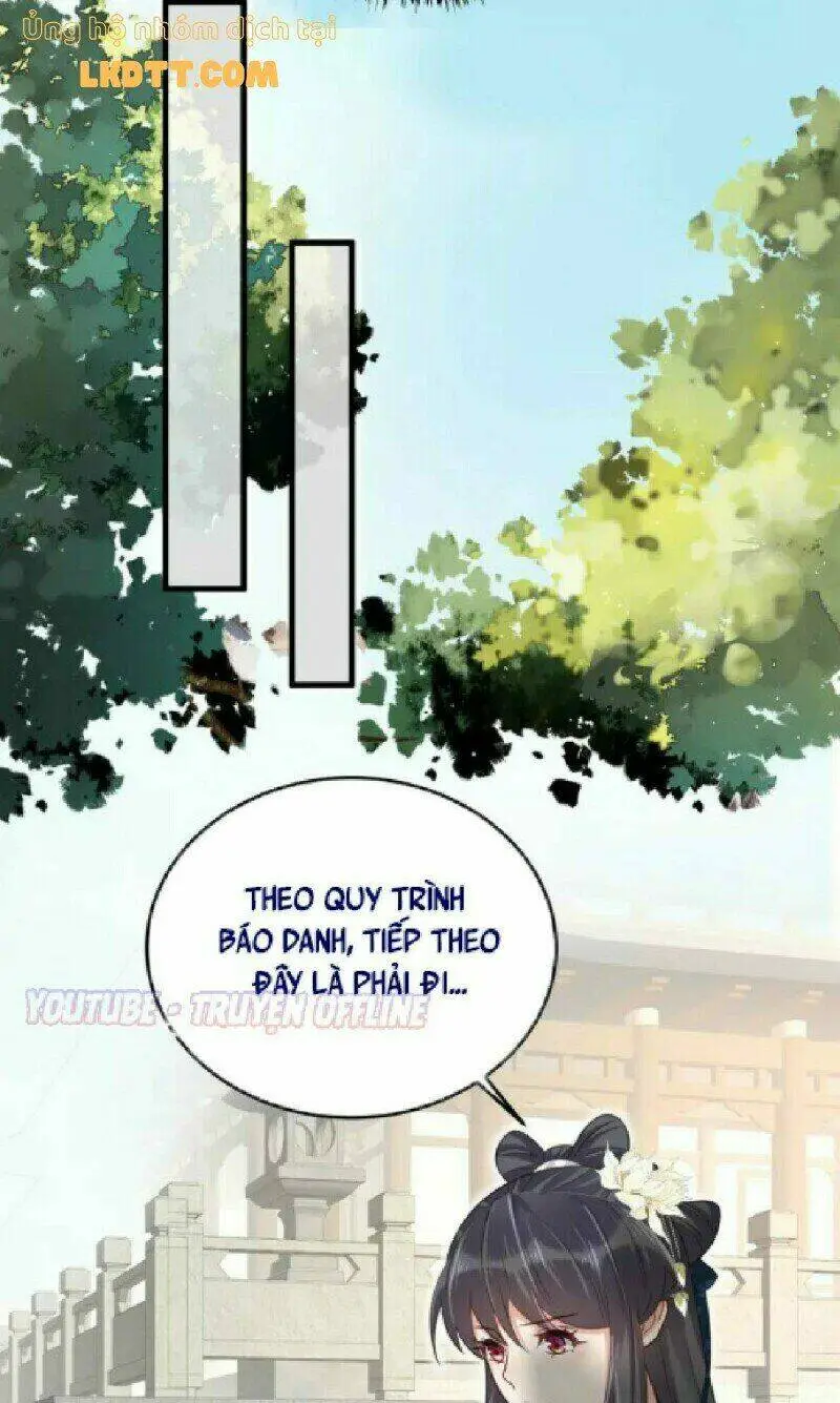Chapter 24