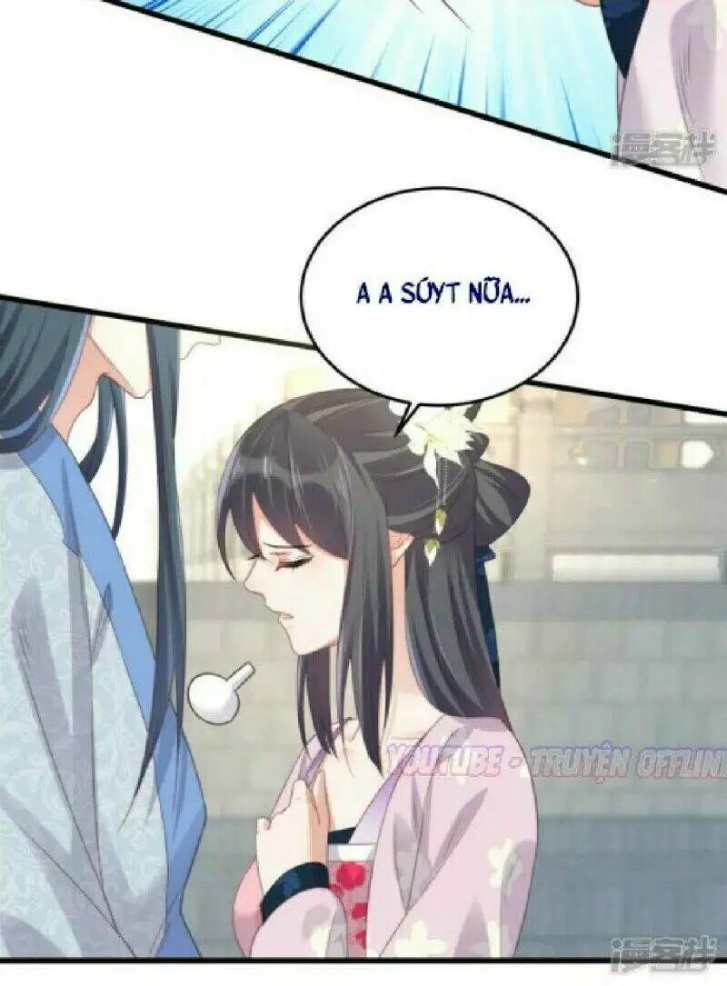 Chapter 24