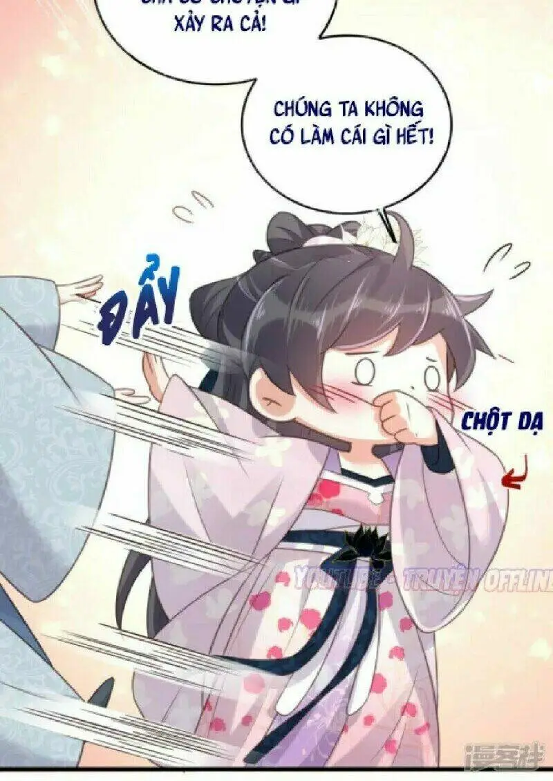 Chapter 24