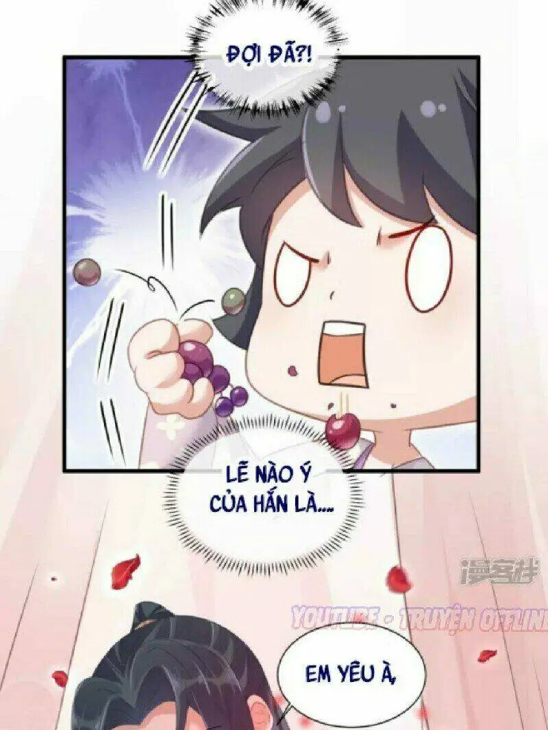 Chapter 24