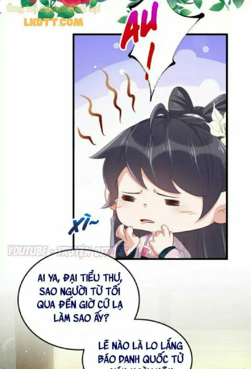 Chapter 24